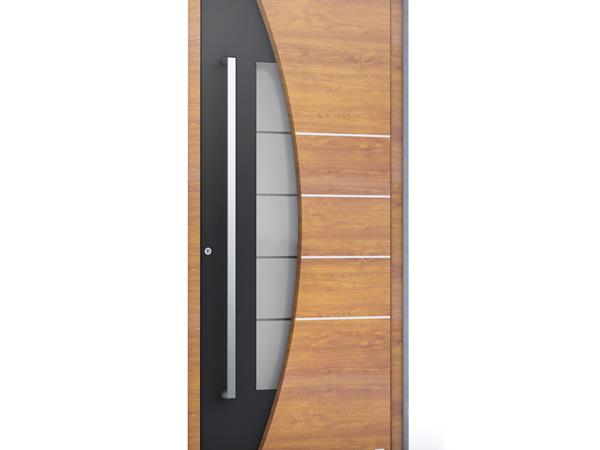 Porte d'entrée verre, métal et bois