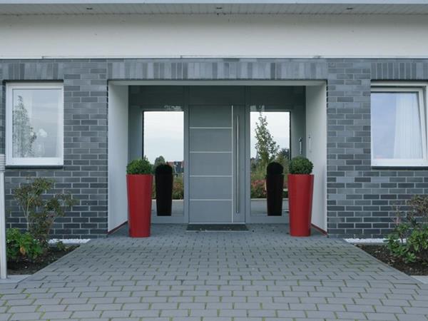 Portes d'entrées en aluminium et bois-aluminium